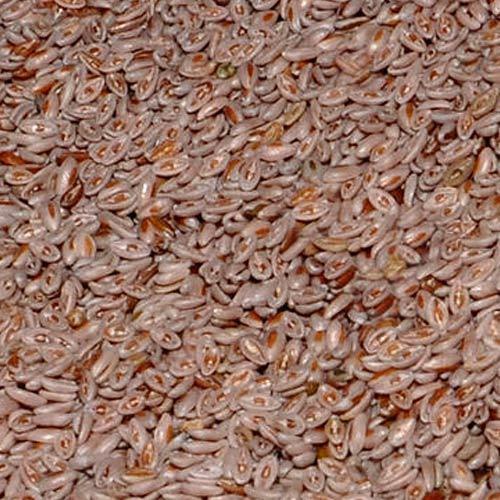 Isabgol Husk And Seed, 25 Kg