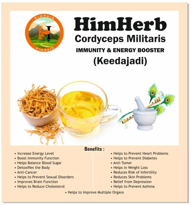 15 Gm Dried Cordyceps Militaris, Packaging Type: Packet