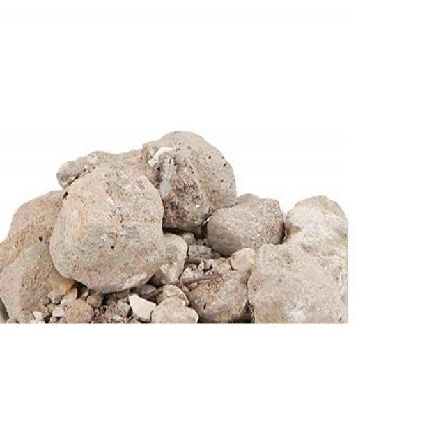 Natural Dried Asli Banslochan, Packaging Type: jute bag
