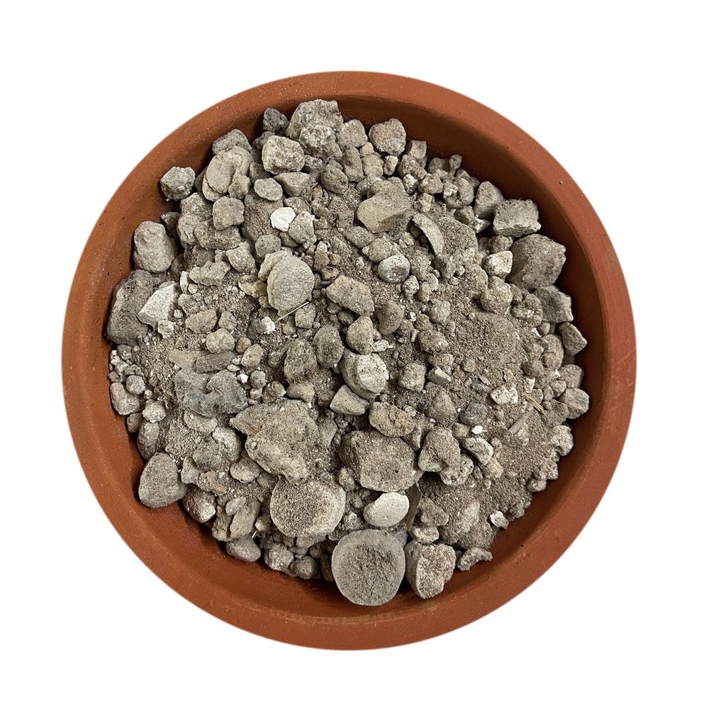 100% Pure Banslochan, Packaging Type: Loose, Is It Dried: Dried