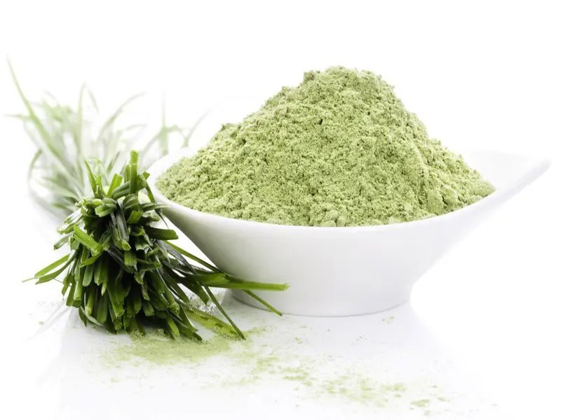 Wheatgrass TBC, Packaging Type: Poly Bag, Packaging Size: 25 KG