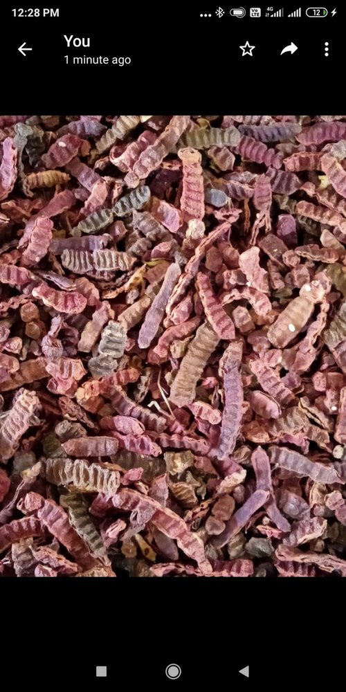 Acacia Concinna Dried Shikakai, Packaging Type: Bag, Packaging Size: 30