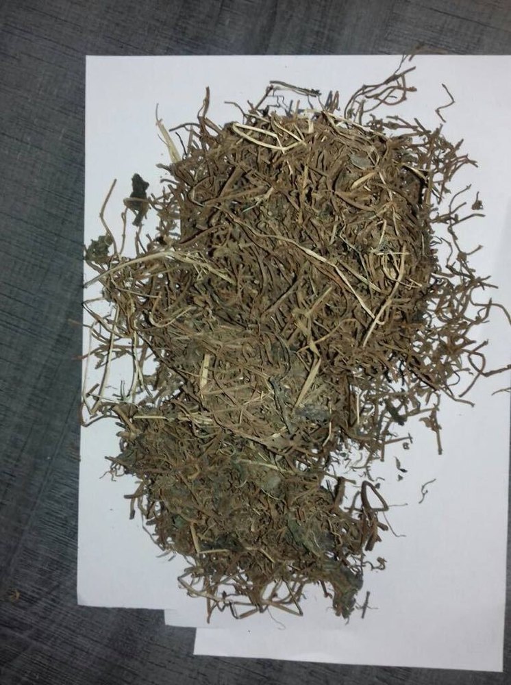 Dried Bacopa, Grade Standard: Bio-Tech Grade
