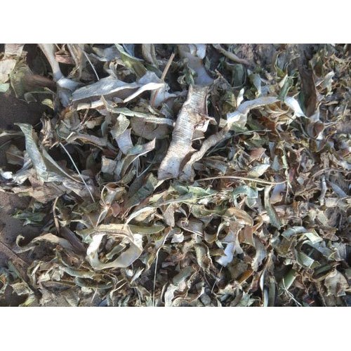 NTE Dried Aloe Vera, Packaging Size: 40 Kg, Packaging Type: Pp Woven Bag