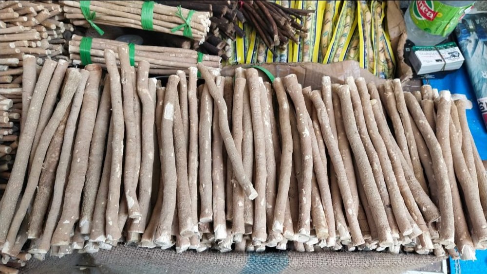 See Pictures Miswak Stick, Packaging Type: Open, Packaging Size: 13 Cm