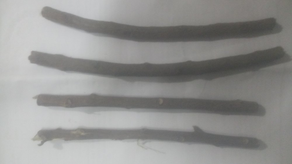 Natural Normal Neem Miswak, For Medicinal