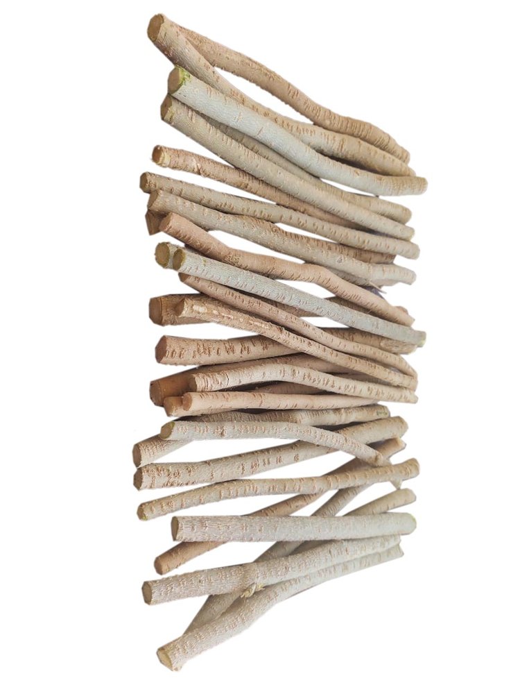 Miswak Stick, Packaging Type: air tight in plastic bag