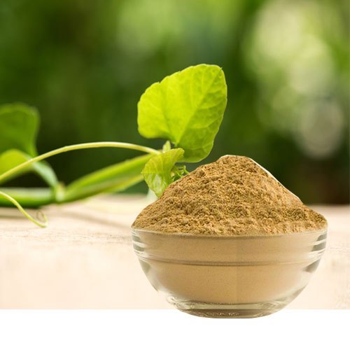 Panacea Cissus Quadrangularis Dry Extract, Ayurvedic, Packaging Size: 25 Kgs