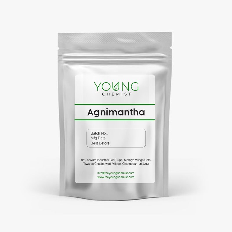 Young Chemist Agnimantha - Arnimool - Premna serratifolia (Raw & Powder)