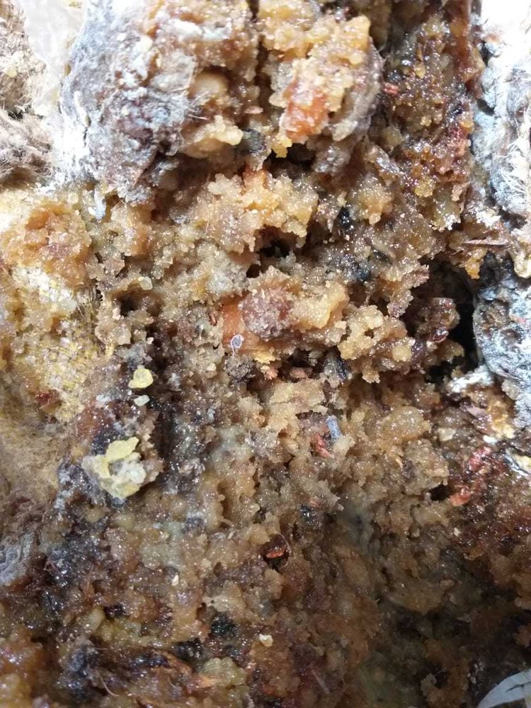 Solid Boswellia, Packaging Type: Bags, Packaging Size: 25 Kgs