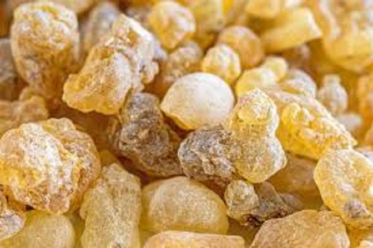 mitushi Boswellia Serrata Powder, Packaging Type: Drum, Packaging Size: 25 Kg