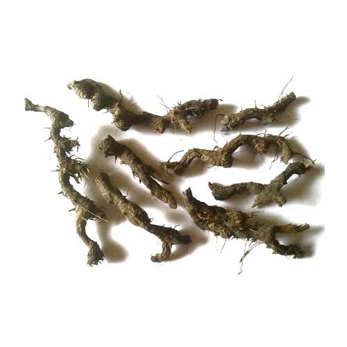 Nagarmotha Root