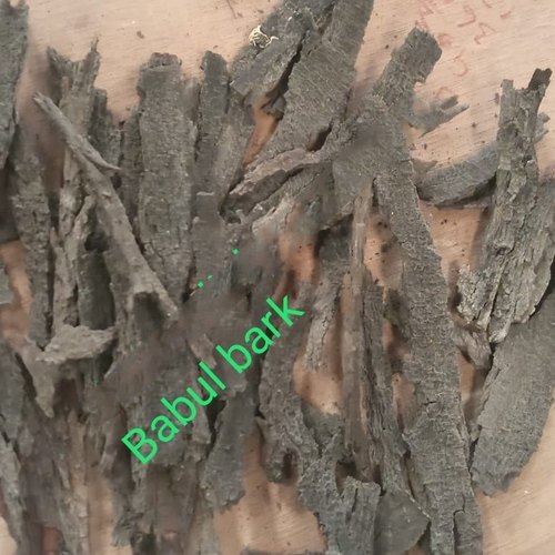Babool Bark / Acacia Nilotica, Acacia Arabica, Packaging Type: Bags, Packaging Size: 40kg