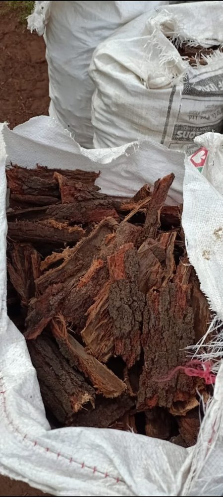 Brown Dried Babul Chaal, Packaging Size: Loose