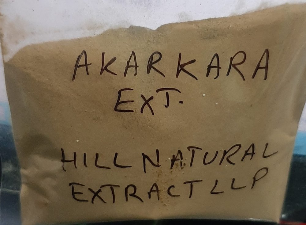 Akarkara Extract Anacyclus Pyrethrum, Packaging Type: HDPE DRUMS, Packaging Size: 25kg