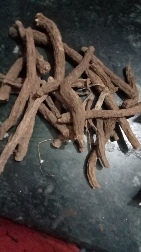 Raw Brown Akarkara Irani, Packaging Type: Plastic Bag