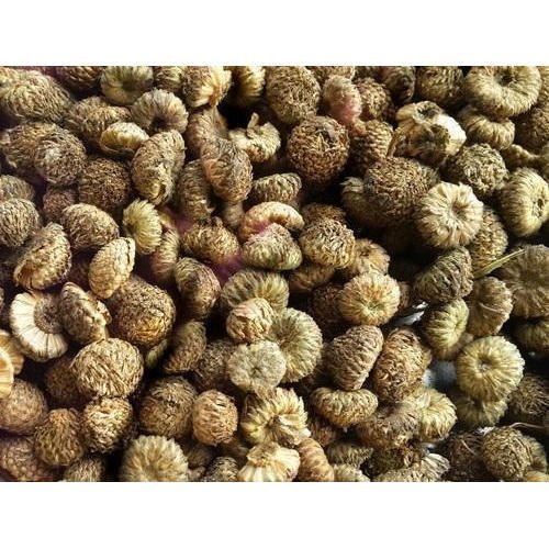 Dry Seeds Akarkara Seed Acmella Oleracea, Packaging Type: Bag