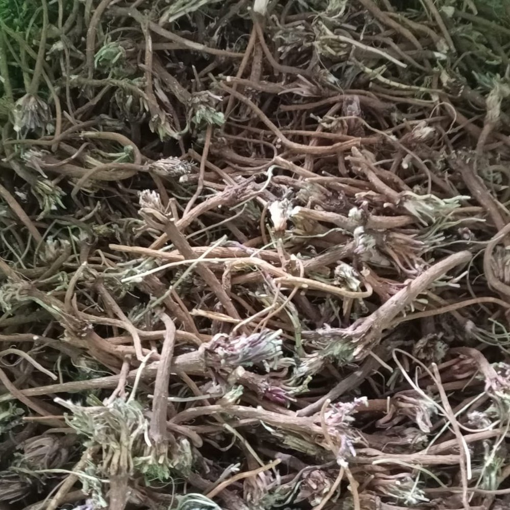 Brown Dried Akarkara Roots, Packaging Type: Loose