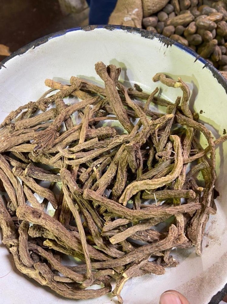 Dry Akarkara, Packaging Type: Bag, Packaging Size: 20kg