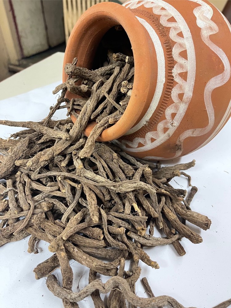 Anacyclus Pyrethrum Brown Grade A Akarkara Root, Packaging Type: Loose