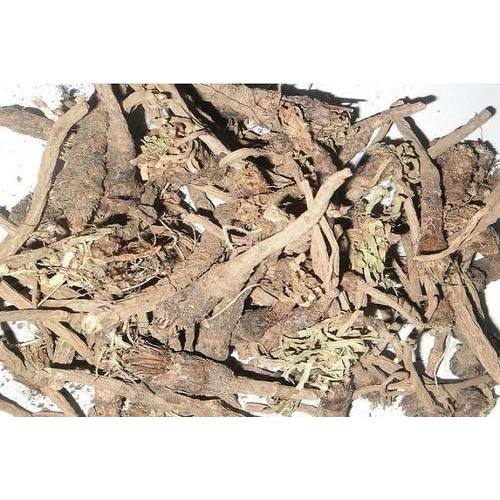 Root Anacyclus Pyrethrum Extract (Akarkaro), Packaging Type: HDPE Drum, Packaging Size: 25 Kg