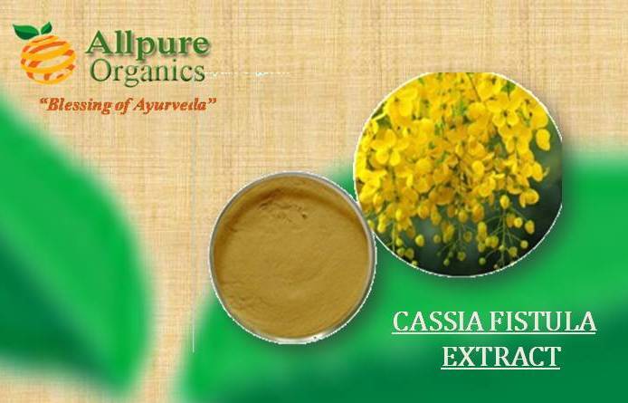 Cassia Fistula, Packaging Type: Hdpe Drum