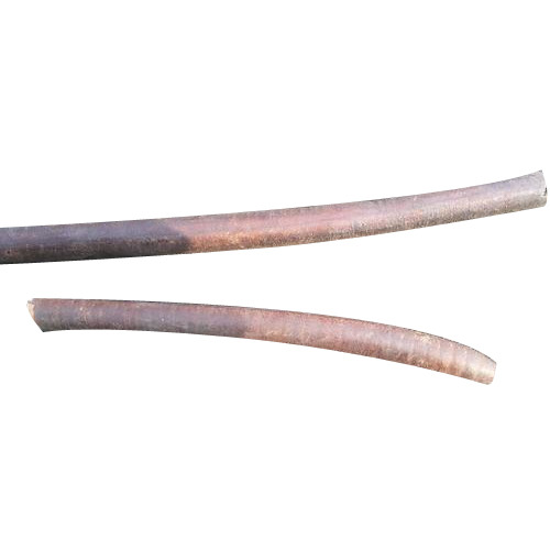 Cassia Fistula Fruit