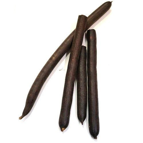 Organic Indian Laburnum CASSIA FISTULA