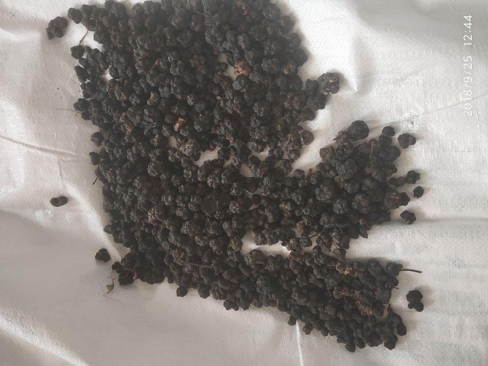 Noni Fruit, 25