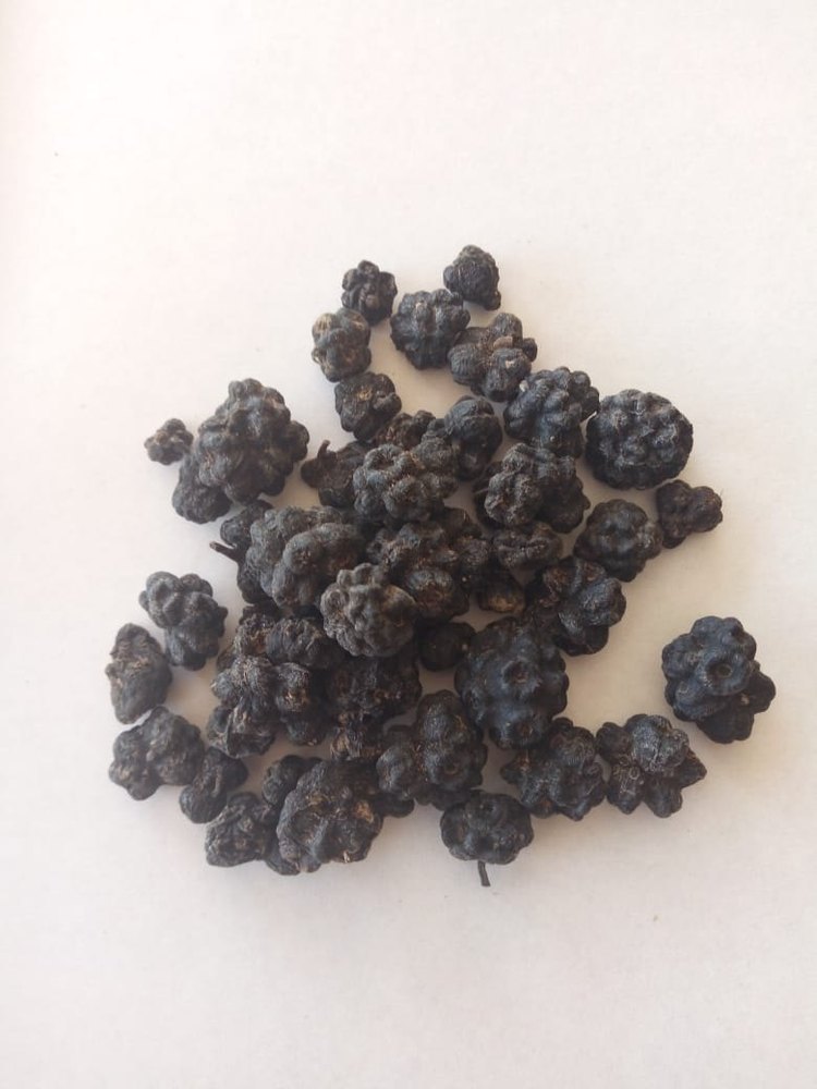 Fruit Dry Morinda Citrifolia, Seed, Packaging Size: 50 Kg