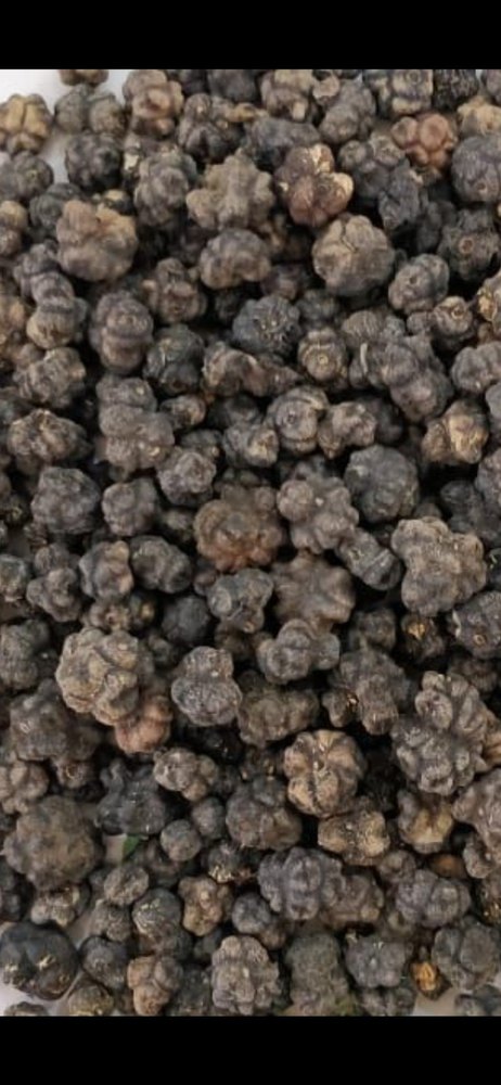 Morinda Citrifolia Black Organic Noni Fruit, Packaging Type: Loose, Granules