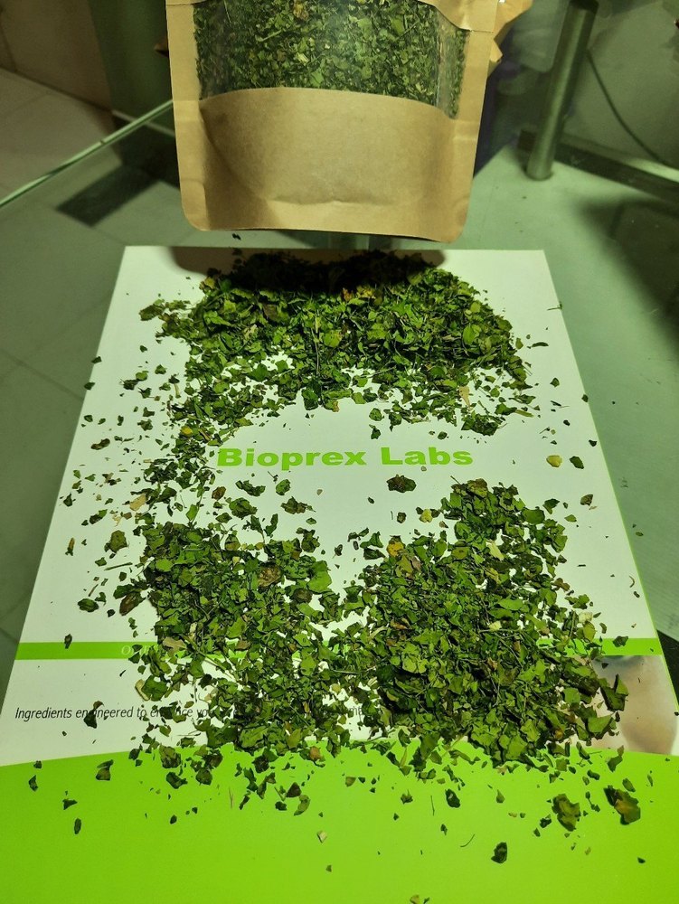 Green Moringa Leaves, Grade: Medicine Grade, Packaging Size: 50