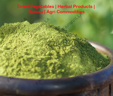 Moringa Green Stick Powder, Packaging Size: 25kg, Packaging Type: Bag