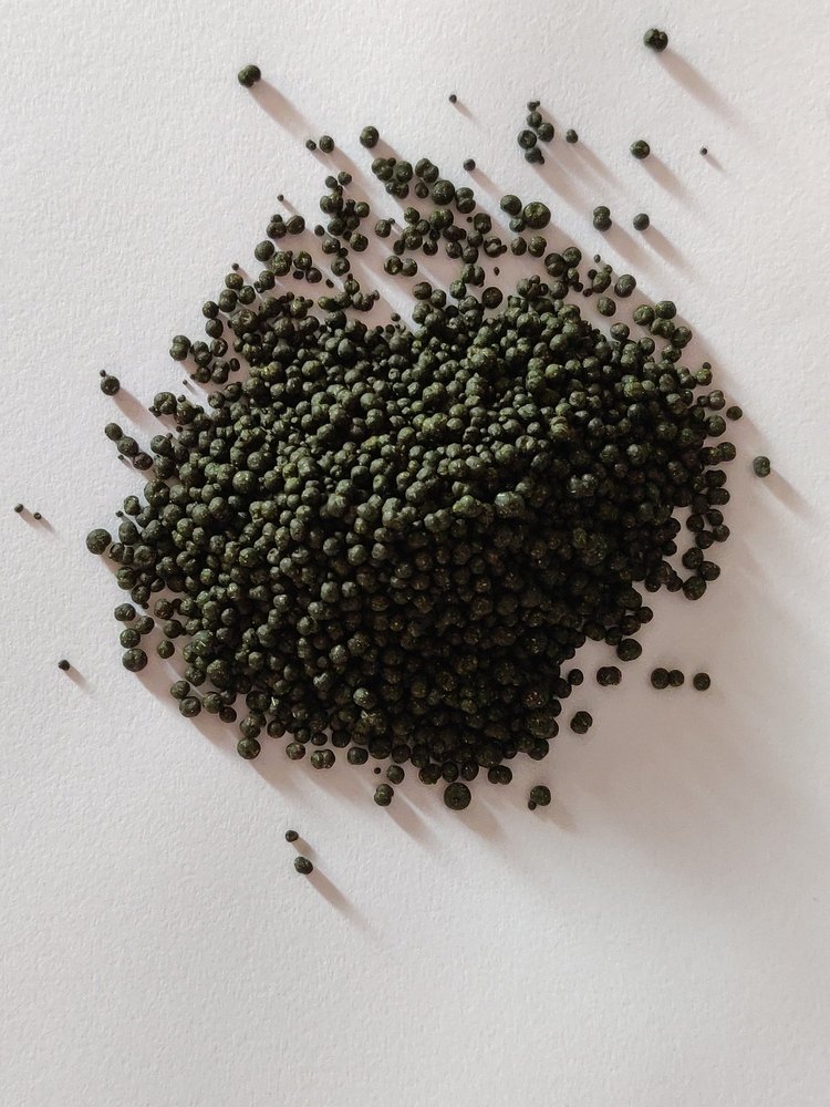 Green Moringa Pellets, For Use For Capsul Fillings, Packaging Type: drum