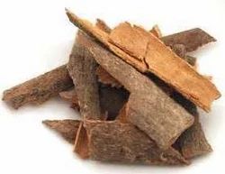 Terminalia Arjuna