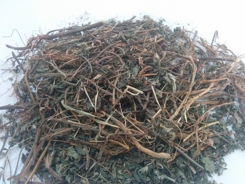 Bhringraj - Eclipta Alba - Bhringa, Packaging Type: Polythene Bag