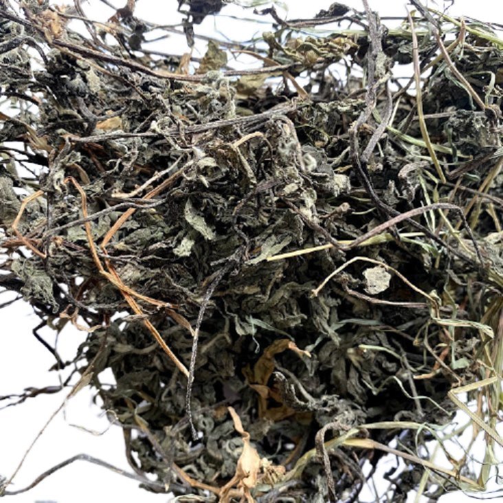 Green Bhringraj Whole Plant, For Ayurvedic, Packaging Type: Loose