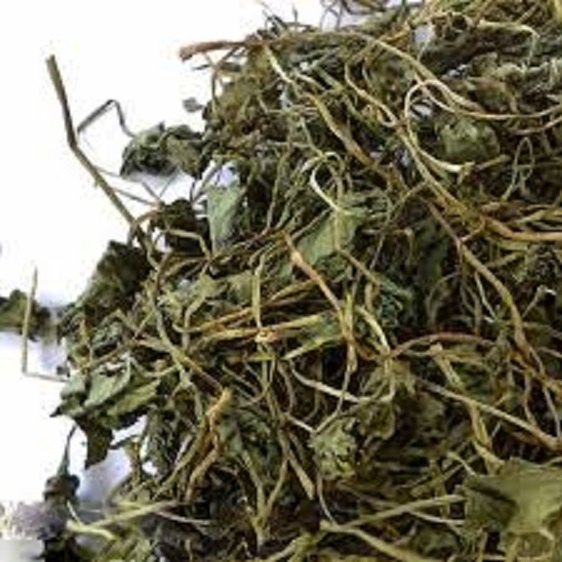 Green Natural Bhringraj /Eclipta Alba, Packaging Size: 40 Kg