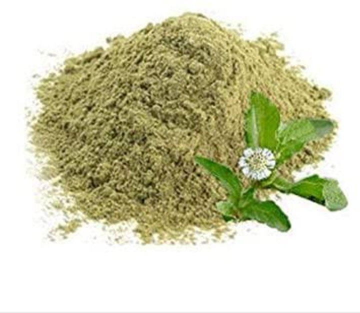 Powder Bhringraj 5% Wedelolactone, Packaging Type: Drum, Packaging Size: 25 Kg