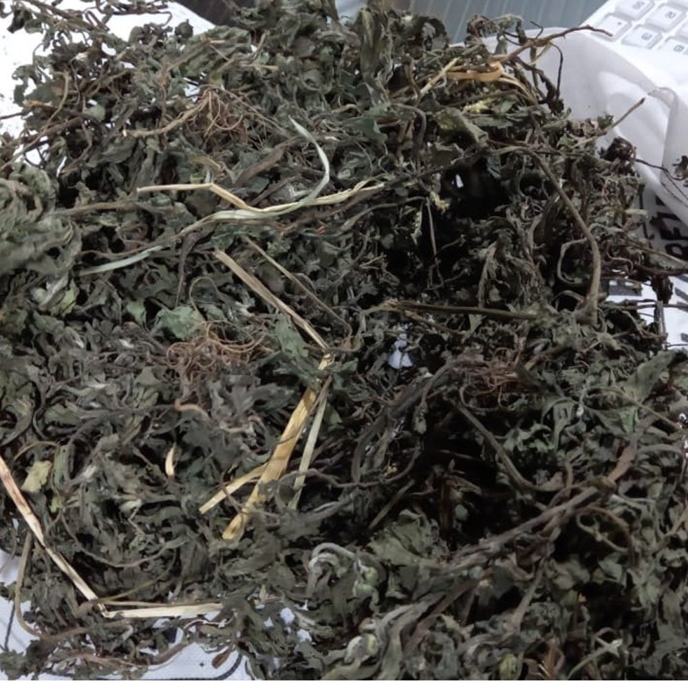 Eclipta Prostrata Green Bhringraj Dried Herb, Packaging Type: Loose