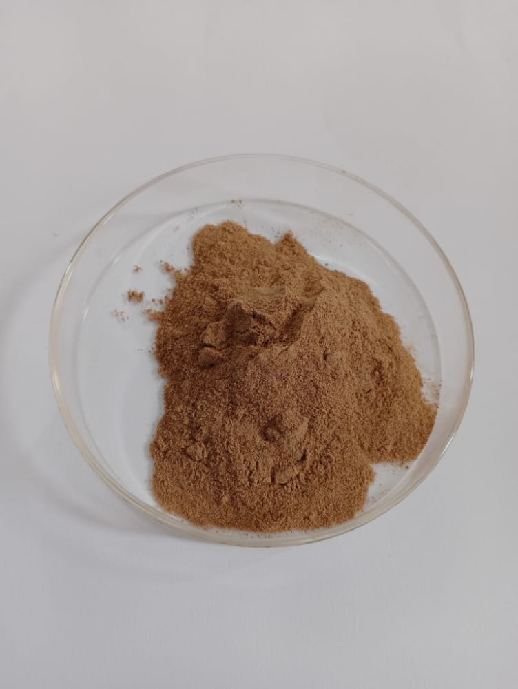 Brown Salam Mishri Extract (Polygonatum verticillatum), Packaging Type: Loose