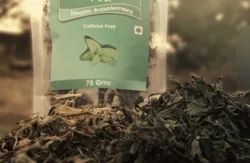 Mint Herbal Tea - Strong Flavored Decaf Tea