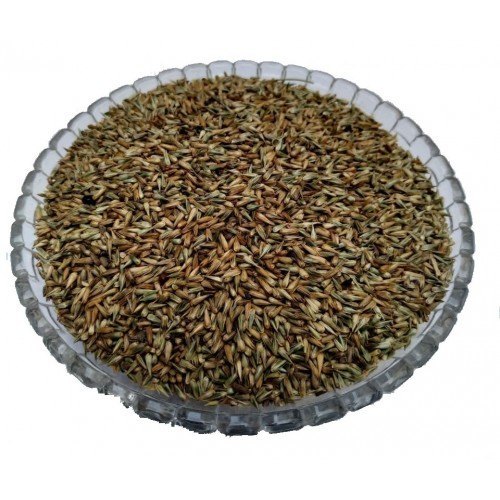 Apamarga Panchang