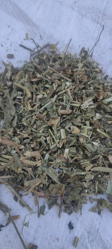 Terminalia Chebula Green Dry Apamarg Panchang, Packaging Type: Loose