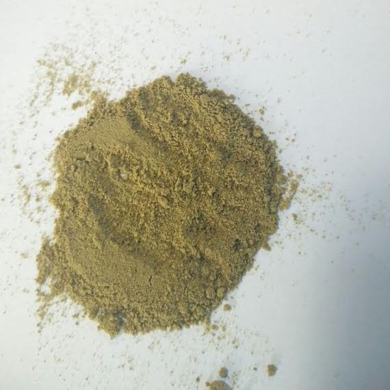 Bacopa (Brahmi) Extract
