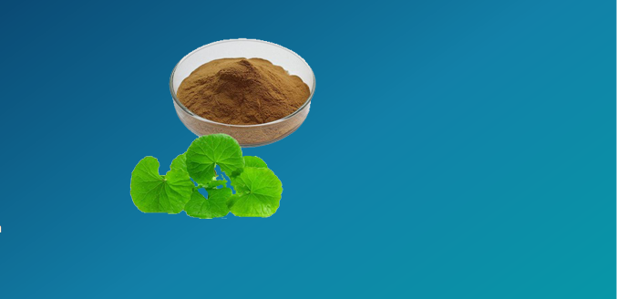 Brown Centella Asiatica, Packaging Type: PP Liner Bag, Packaging Size: 25Kgs