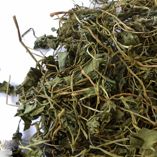 Gotu Kola - Mandukparni - Brahmi Centella Asiatica