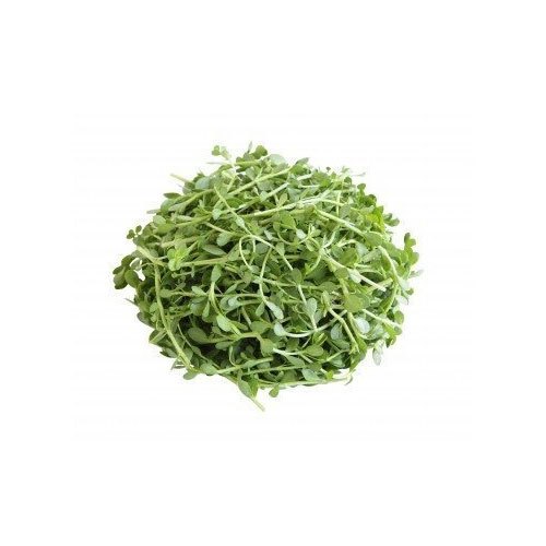 Brahmi Leaf Extract, Brahami
