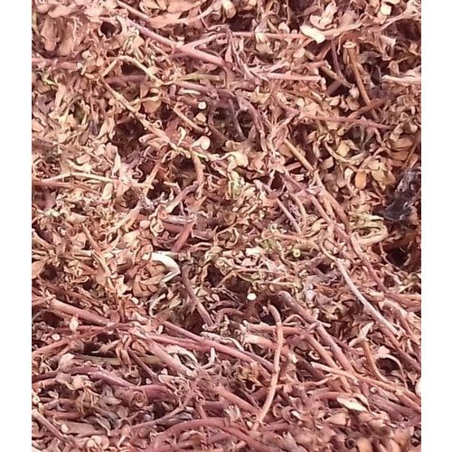 Bacopa Monnieri Dried Brahmi
