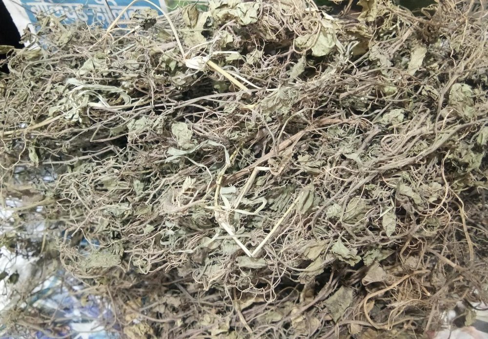 Bacopa monnieri Dried Brahmi Leaves, Packaging Type: Bag